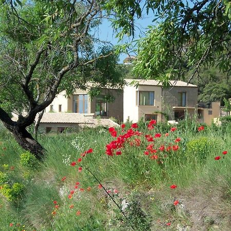 Alen D'Aragon Pension Santa Eulalia de Gállego Buitenkant foto