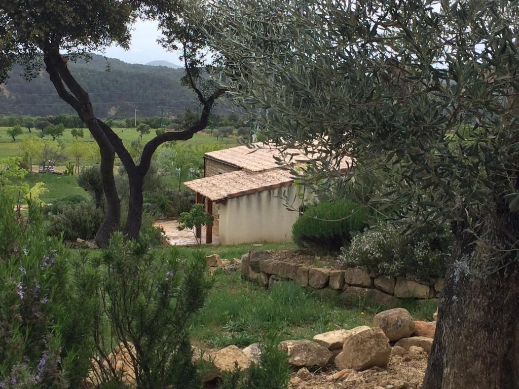 Alen D'Aragon Pension Santa Eulalia de Gállego Kamer foto