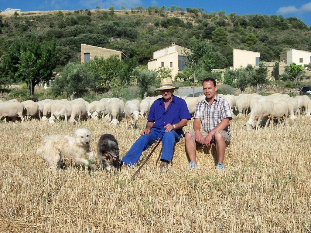 Alen D'Aragon Pension Santa Eulalia de Gállego Buitenkant foto